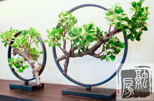 济南中骏柏景湾：泉城共鉴！中骏柏景湾“醉美”墅境示范区8月26日耀世启封