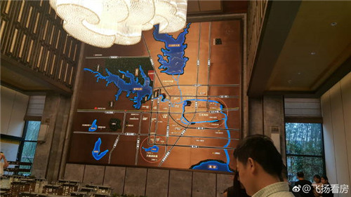 全中国最便宜最顶级豪宅之一泰禾.文一合肥院子均价1.4万不到