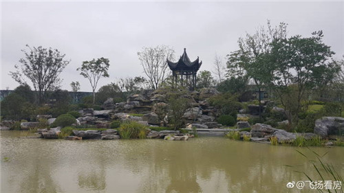 全中国最便宜最顶级豪宅之一泰禾.文一合肥院子均价1.4万不到