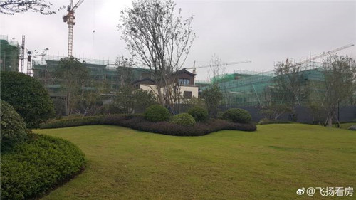 全中国最便宜最顶级豪宅之一泰禾.文一合肥院子均价1.4万不到