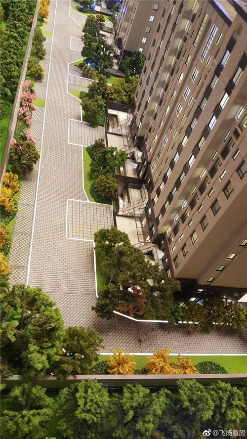 全中国最便宜最顶级豪宅之一泰禾.文一合肥院子均价1.4万不到