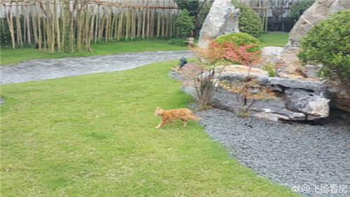 全中国最便宜最顶级豪宅之一泰禾.文一合肥院子均价1.4万不到