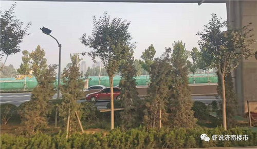 中粮大悦城18