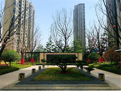 春天里01