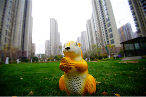 春天里14
