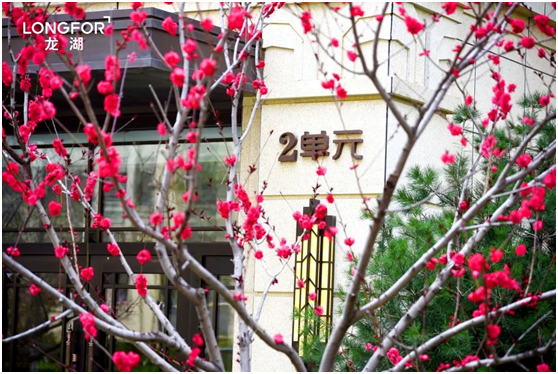 交付第二年 济南这个小区的春景美翻了