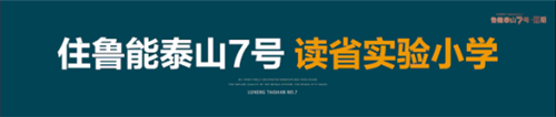 鲁能泰山7号0