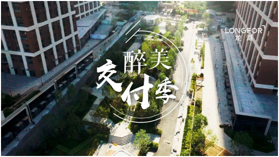 这是城市中专属于你的岛 济南龙湖•奥东11号醉美交付