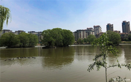 蓝石大溪地13