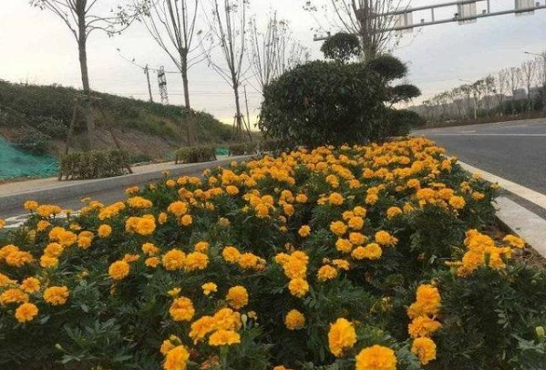 济南奥体西路北延全线贯通！这个片区再添双八主干道