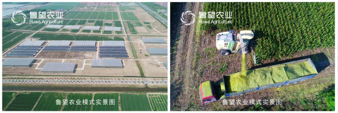 城市更新,共鸣未来|《星空地产2021乡村更新发展白皮书》发布在即