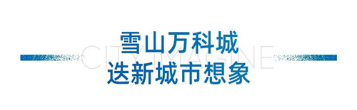 万科08