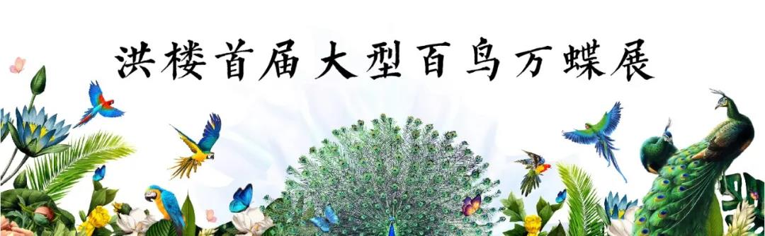 以主城贵土为笺 引自然写意为序 央企电建巨匠和鸣 恢弘执笔于洪楼显赫中轴之上  约35000㎡中式水韵园林 溯源东方千年文脉 借鉴圆明园的集锦式布局 传承北方园林轴线规划，取意济南八景之色 以一轴两环五境十景规划布局 全力打造城市花园里的世家府邸
